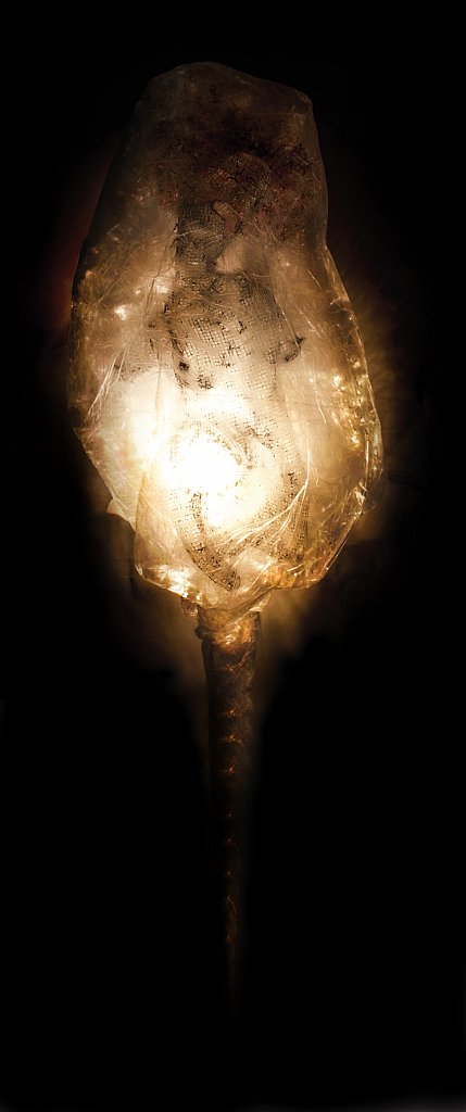 larve-3.jpg