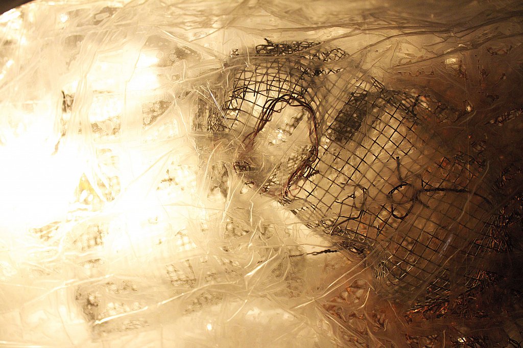larve-part.jpg