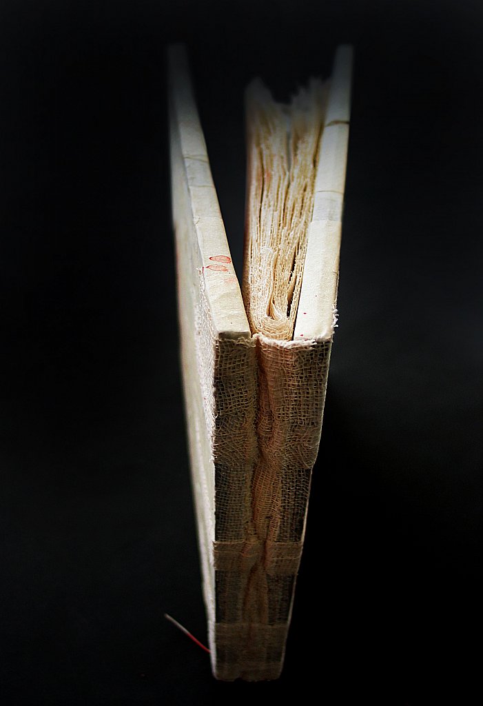 libro.jpg