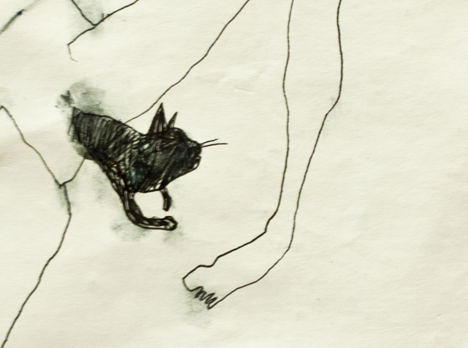 Filiformi-gato.jpg