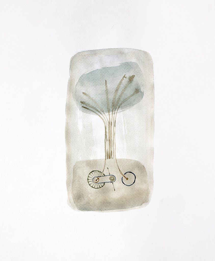 4ciclovisioni.jpg