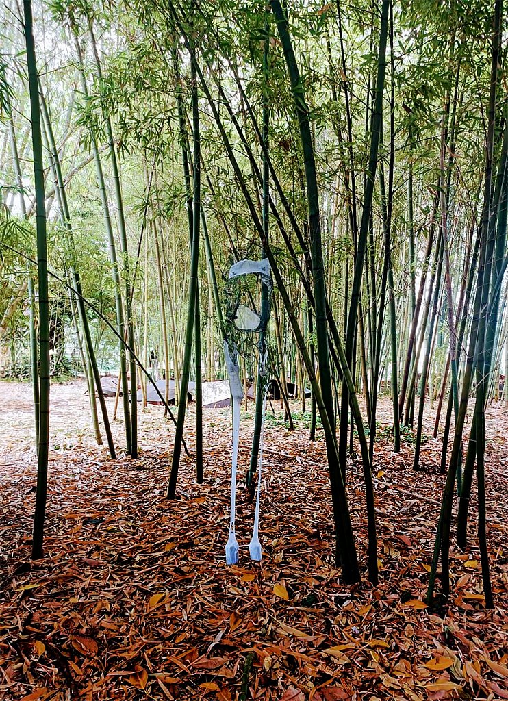 Site-specific Orto Botanico - Naples 2024