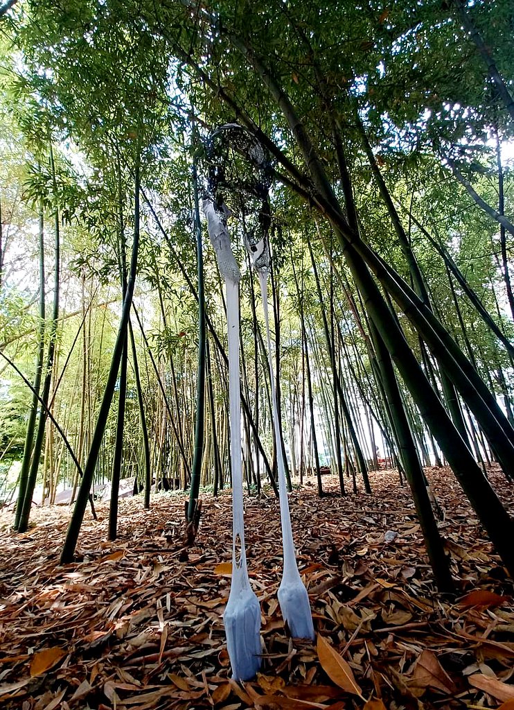 Site-specific Orto Botanico - Naples 2024